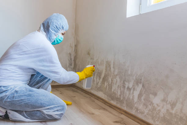 Licensed Commercial Mold Remediation service in Stanwood, WA - WQB Mold Removal