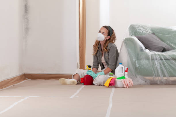 Reliable Commercial Mold Remediation contractor in Stanwood, WA by WQB Mold Removal
